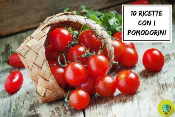 Cherry tomatoes: the 10 best recipes to use them and enhance their benefits