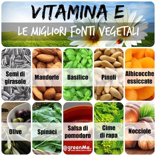 Vitamina E: las 10 mejores fuentes vegetales