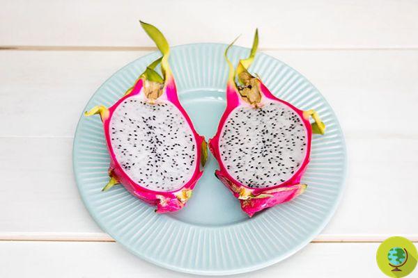 Pitaya: properties, nutritional values, uses and contraindications of dragon fruit