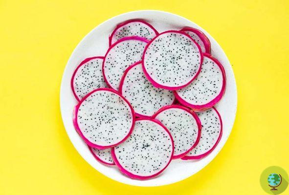 Pitaya: properties, nutritional values, uses and contraindications of dragon fruit