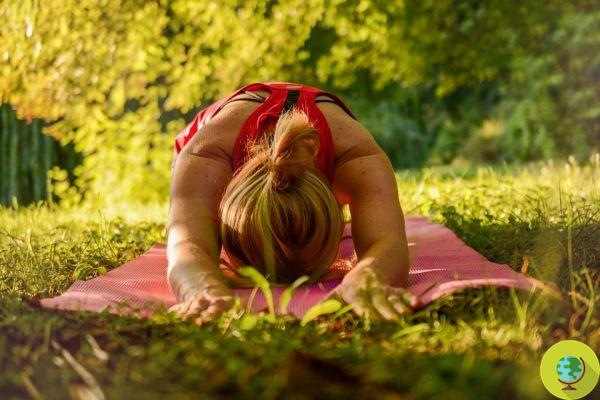 Yoga and meditation in nature: all the benefits of practicing surrounded by greenery