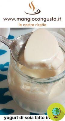 Cómo hacer yogur de soja en casa