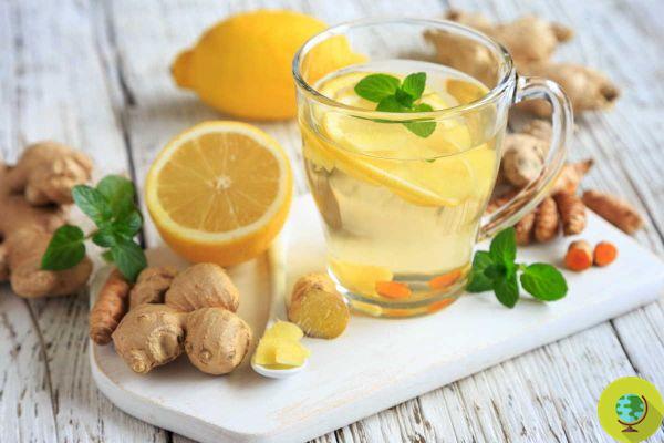 Chá de gengibre: a receita para a melhor infusão contra tosses e resfriados