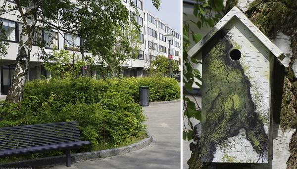 As belas casas de pássaros camufladas em cidades ao redor do mundo