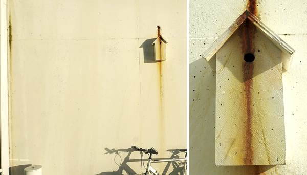 The beautiful bird houses camouflaged in cities around the world