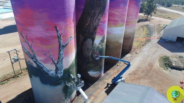 Artistas de rua transformam silos em obras de arte para reviver as áreas mais desoladas da Austrália