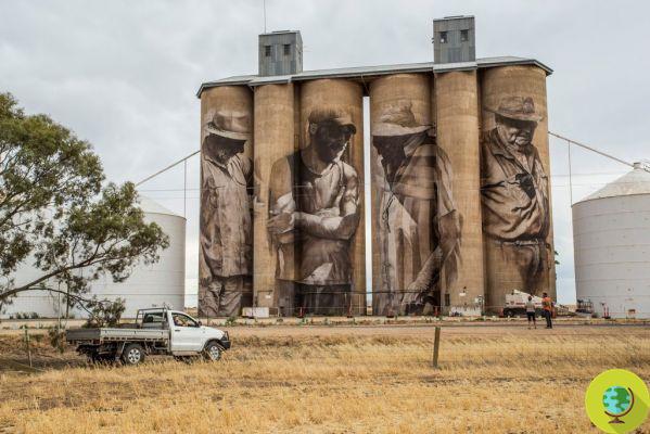 Artistas de rua transformam silos em obras de arte para reviver as áreas mais desoladas da Austrália