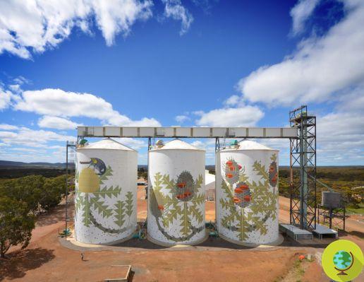 Street artists transform silos into works of art to revive Australia's most desolate areas