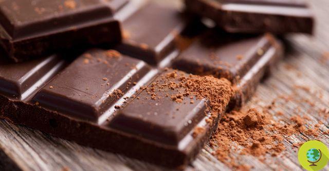 Chocolate: ally of the teeth. It prevents tooth decay and plaque naturally