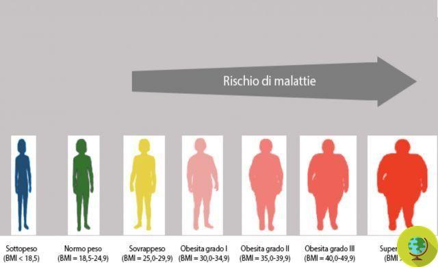 Obésité et diabète de type 2 : une protéine qui régule le poids corporel découverte