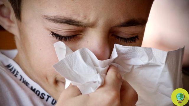 Allergy to dust mites: causes, symptoms and how to recognize it
