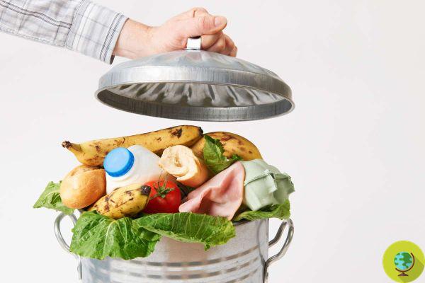 Consejos prácticos para reducir el desperdicio de alimentos a partir de la compra semanal