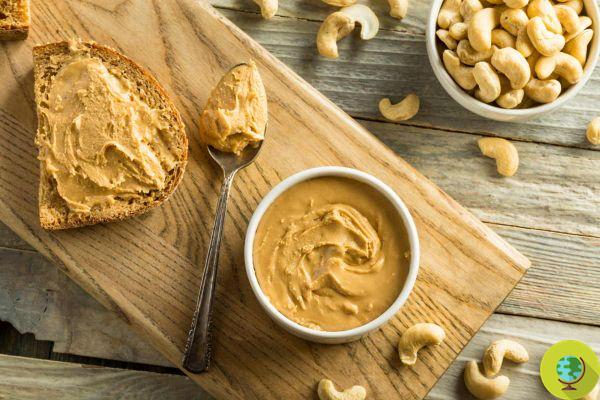 Cashew butter: the recipe for making it at home