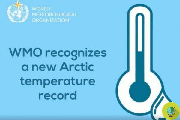 As Nações Unidas certificam o novo recorde de temperatura de 38 ° C no Ártico