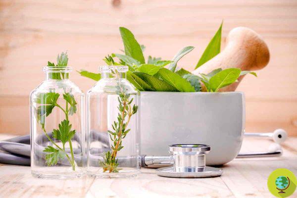 Spices and herbs: with these natural and cost-free tricks, your home will be fragrant