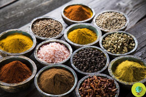 Herbs and Spices: Almost half of those sold in Europe are adulterated. The DNA study