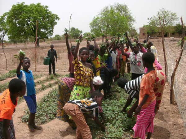 Mosquitos transgênicos: mobilizações em massa em Burkina Faso contra os experimentos