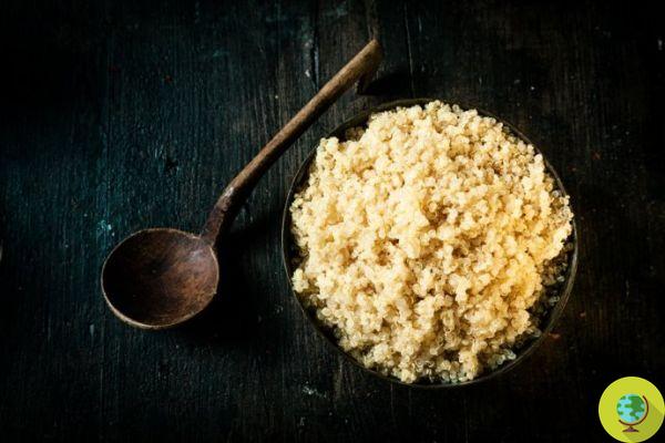 Quinoa: 5 truques e 5 erros que você não deve cometer para cozinhá-la