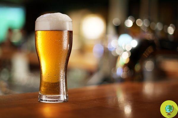 Beber un vaso de cerveza todos los días podría hacerte vivir hasta los 90 años. El estudio holandés