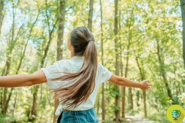 Por qué deberías caminar más al aire libre incluso en otoño, según la ciencia