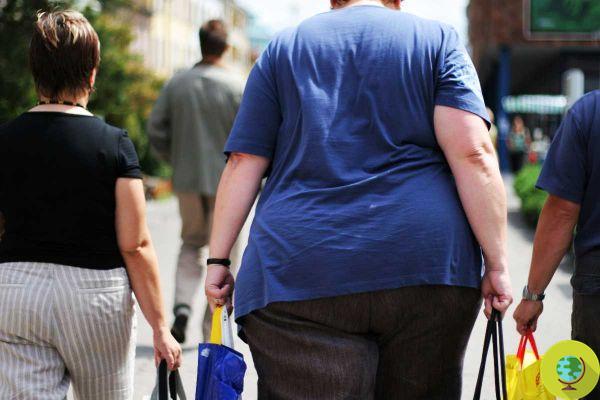 Le secret contre l'obésité est dans nos gènes, une nouvelle découverte ouvre les portes des thérapies personnalisées