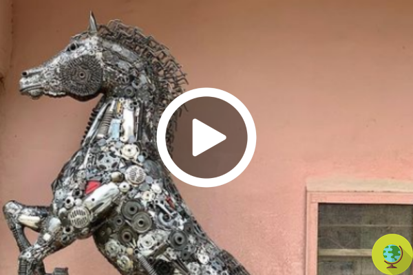 Animais com engrenagens recicladas: o artista turco que transformou 30 toneladas de sucata em obras de arte