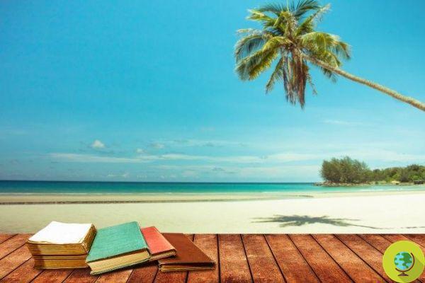 AAA. amante de livros procurado para o emprego dos sonhos nas Maldivas