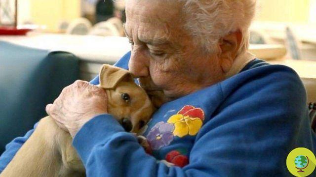 Un âgé atteint d'Alzheimer revient parler à son chien (VIDEO)