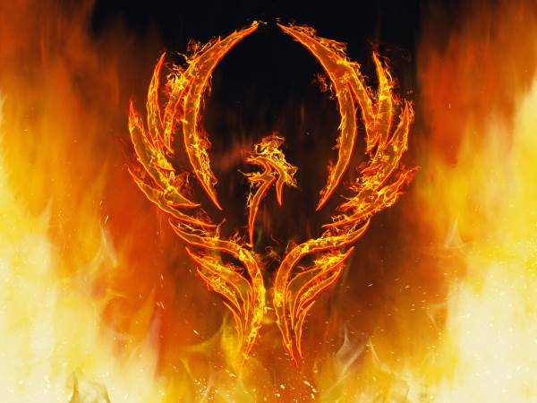 The legend of the Phoenix, symbol of the power of resilience