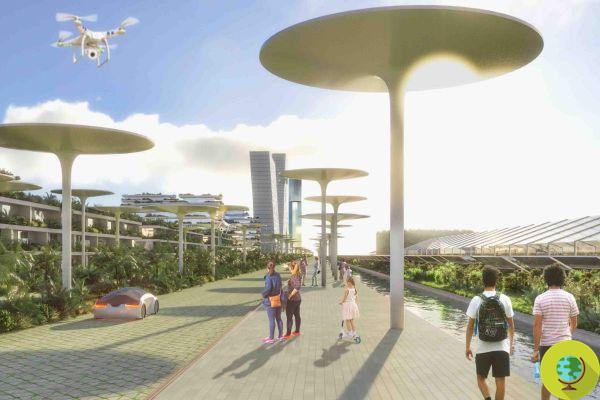 The first eco-smart city based on the Maya world and completely sustainable