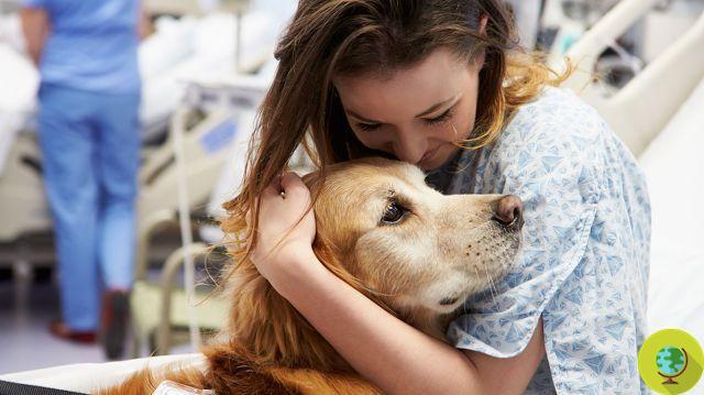 Pet therapy: in Dolo dogs and cats together for the little sick