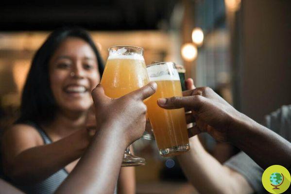 Beber cerveza es bueno para el colesterol bueno (pero con moderación)