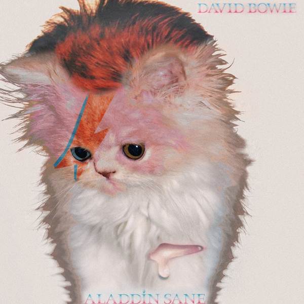 Feline Rock: 15 capas de discos com gatos como protagonistas