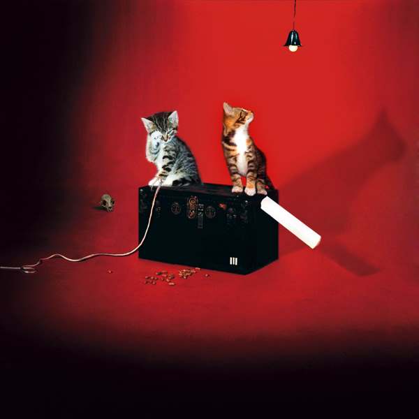 Feline Rock : 15 pochettes d'albums avec des chats comme protagonistes