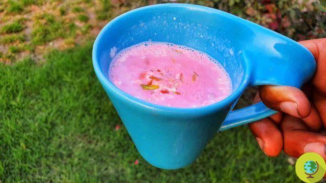 Kashmiri Chai: cómo preparar té salado de rosas de Oriente en 20 minutos
