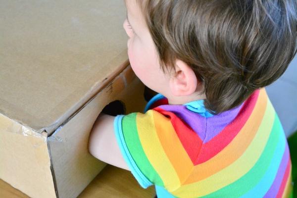 Montessori method: the do-it-yourself mystery box to learn to recognize objects