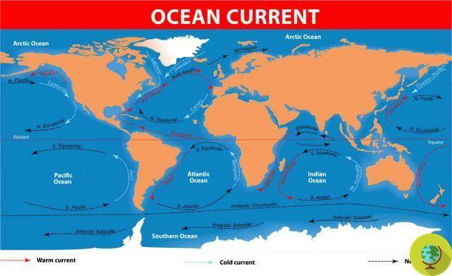 Crise climatique : les signaux clairs que le Gulf Stream s'effondre. Son arrestation aura des conséquences dévastatrices