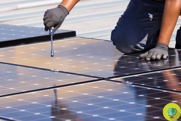 Fotovoltaica orgánica: en Settimo Torinese los paneles solares se fabrican con arándanos