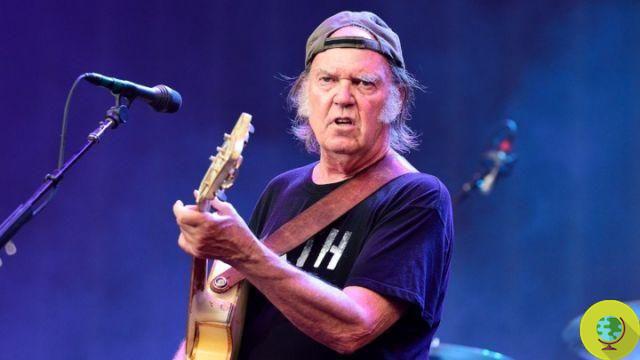 Organic Cotton: Neil Young calls for a boycott of pesticide-grown cotton