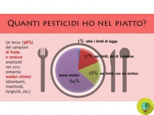 Des pesticides dans presque tous les aliments que nous mettons dans notre assiette, parole de l'EFSA