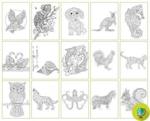 Mandala: 15 animals to color (free download)