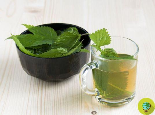 10 infusions to prepare at no cost