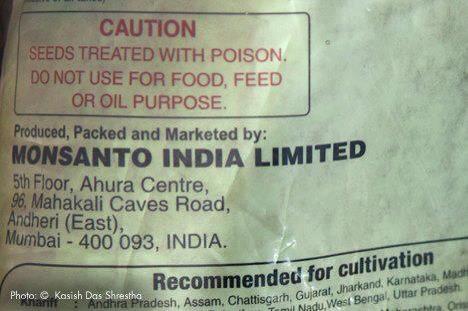 GMO: Monsanto seeds treated with poison?