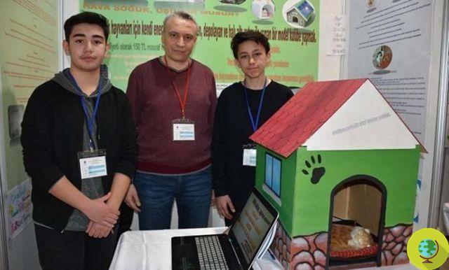 Maisons pour animaux errants chauffées à l'énergie solaire : le projet de deux étudiants turcs