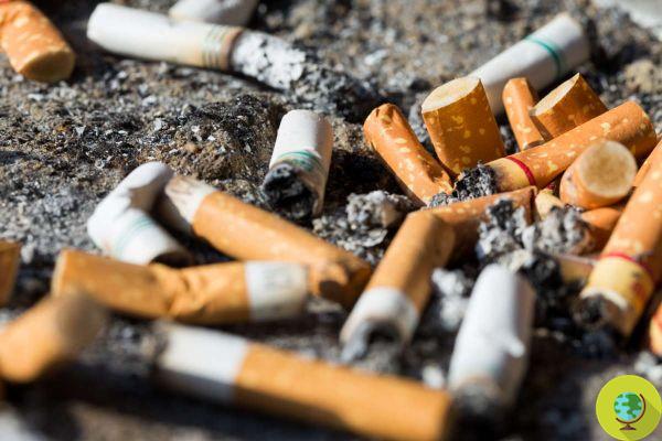 Cientistas pedem proibição de cigarros filtrados