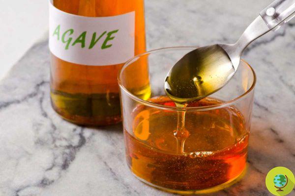 Agave syrup: is it really a natural and healthy sweetener?