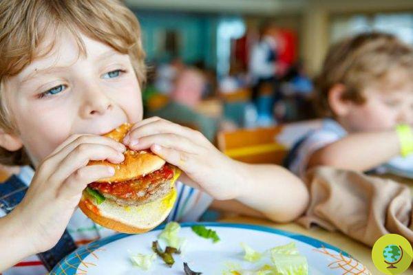 Em Pescara 180 crianças intoxicadas em cantinas escolares: culpa de uma bactéria presente na carne
