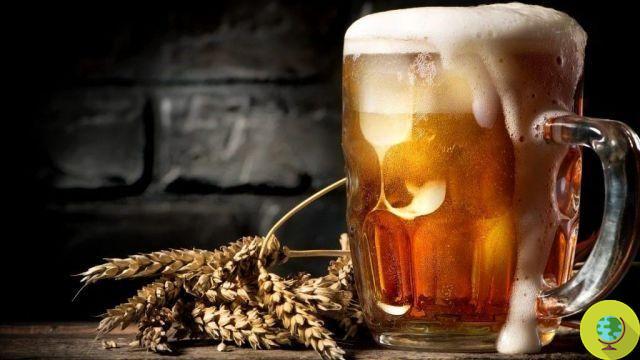 Belgian craft beer is now a Unesco World Heritage Site