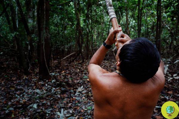 La meilleure façon de protéger la planète est de sauver les peuples indigènes qui défendent leurs terres ancestrales