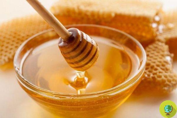 Three-quarters of the world's honey contains pesticides: the shock study